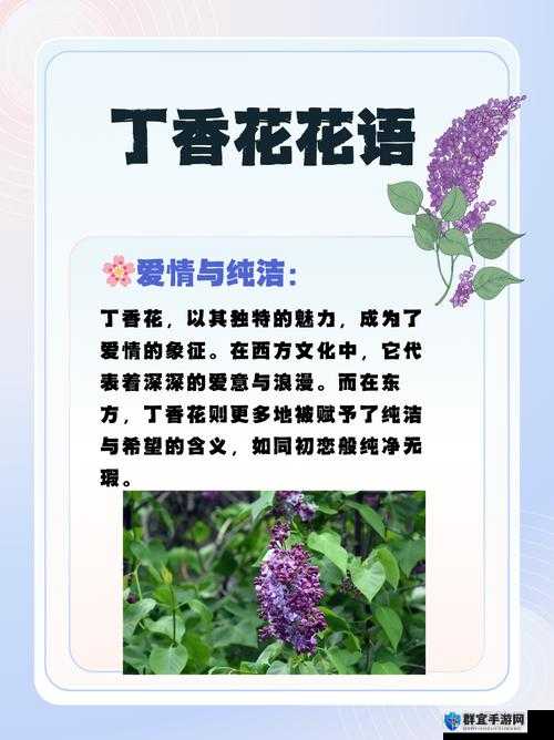 五月丁香激情综合：探索丁香花的魅力与五月浪漫季节的完美结合