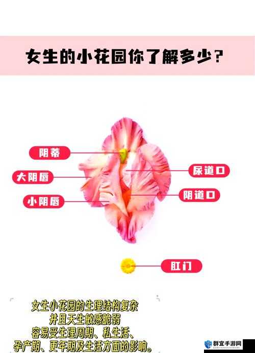 揉小花园基础手法教学图解：详细步骤与技巧分享，轻松掌握揉小花园的核心方法