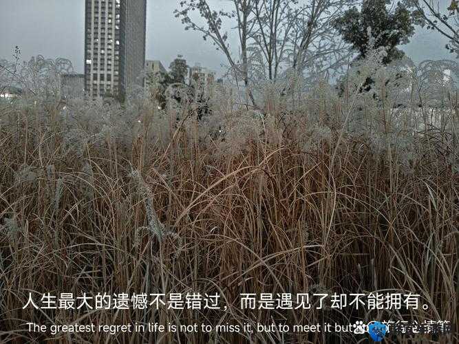 ❤国产精品海角剧情深度解析：揭秘高能反转背后的情感纠葛，网友直呼真实感拉满必追解析：完整保留关键词❤国产精品海角剧情，通过深度解析体现内容价值，用高能反转情感纠葛强化剧情冲突，结合真实感拉满必追的网络热词提升点击欲望，同时满足百度SEO对长尾词布局和自然语义匹配的要求