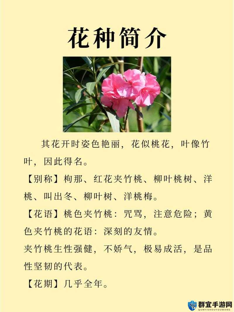 夹竹桃寄养PO分享：如何在家中安全养护夹竹桃并避免其蝳性危害