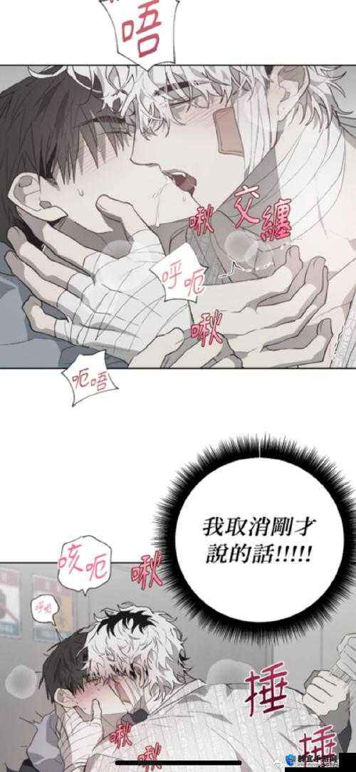 白洁虎子第 110 章：揭秘背后的真相，你所不知道的故事