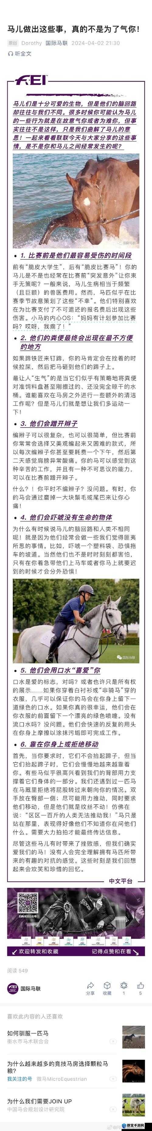 提问：马是怎样进行交流的呢？探索马的交流奥秘大揭秘