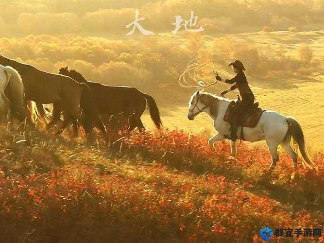 大地资源网视频在线观看,你能错过吗?高清画质,流畅体验,尽在这里