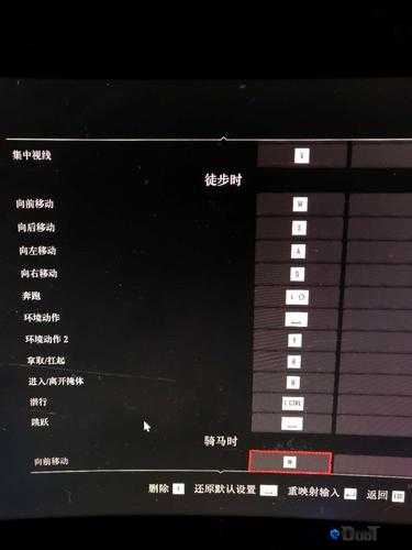 DayZ独立版PC按键操作介绍，资源管理的高效艺术