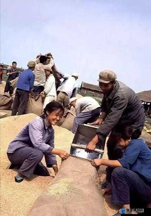 2008年的1380照片：回顾历史瞬间，探索珍贵记忆背后的故事与情感