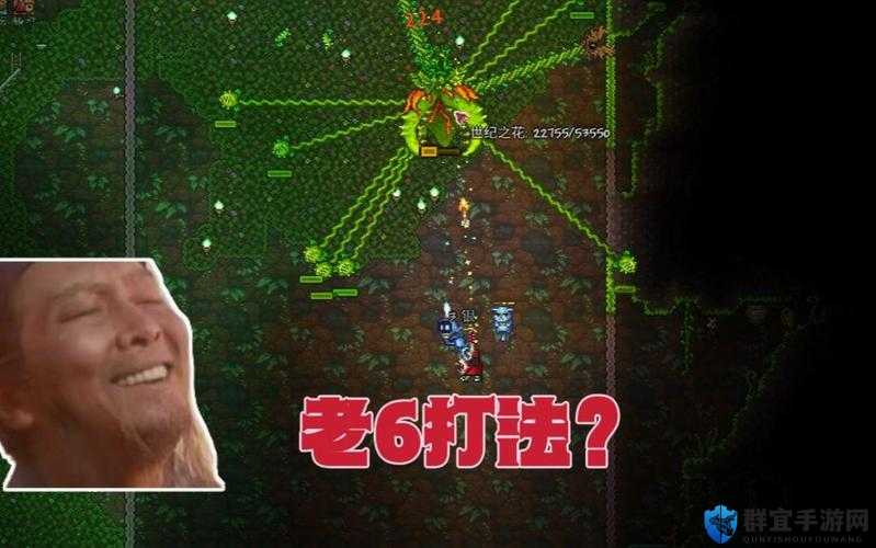 泰拉瑞亚世纪之花视频攻略，资源管理的高效指南