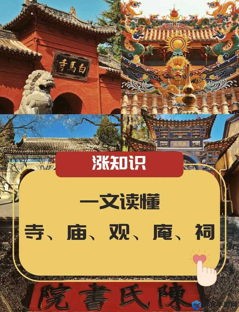 探秘尼姑寺免费观看：深入了解寺庙生活与修行日常的全新视角