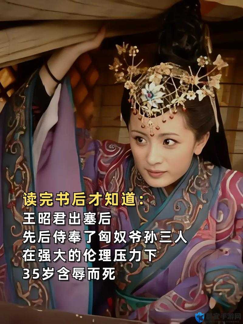 王昭君电视剧全集完整版在线观看，深度解析王昭君传奇一生，揭秘历史背后的动人故事