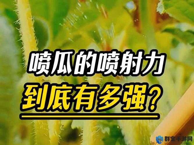 受不了了他喷水了别摸了，这到底是怎么回事？