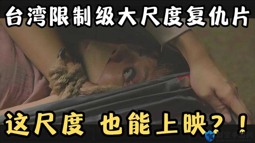 十八步禁止播放的视频究竟为何被禁？其中缘由引发广泛关注与探讨需要注意的是，对于被禁止播放的内容，我们应该遵守相关规定和法律法规，不进行传播和推广