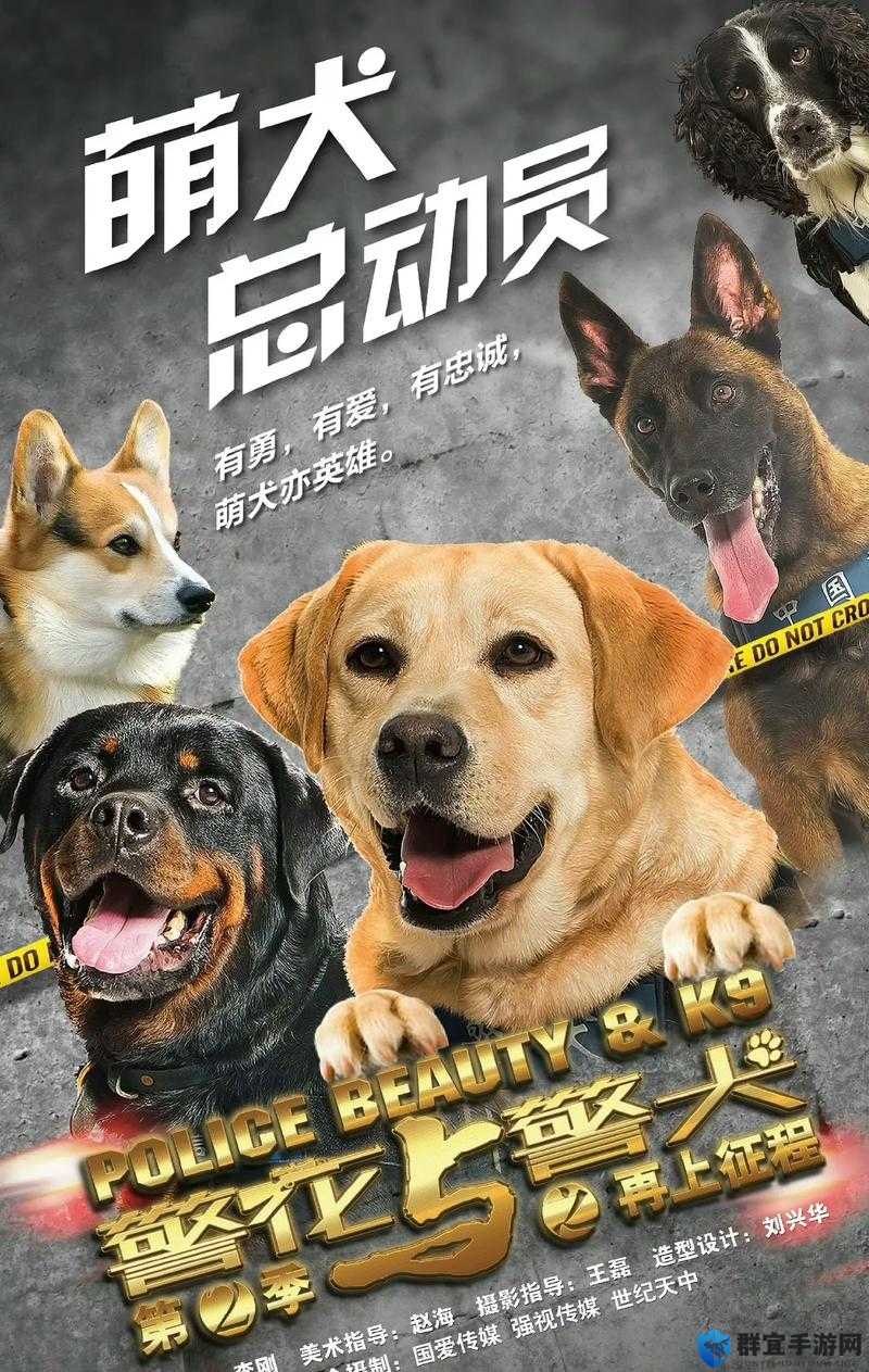 警犬张金鱼为何如此引人关注?其视频背后有着怎样的精彩故事?