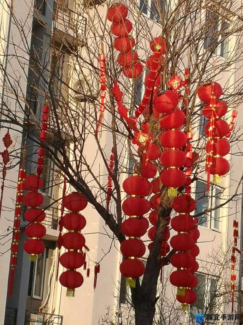 春节期间那道令人印象深刻的绝美景观是什么呢