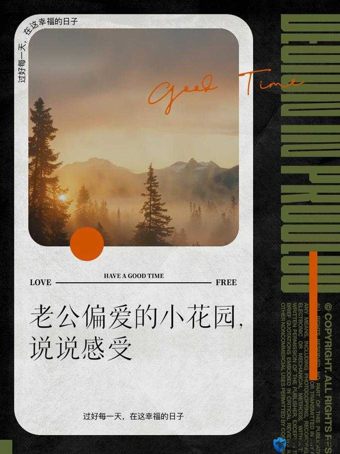 男人对小花园黑色和粉色的喜好:是审美差异还是个人偏好?