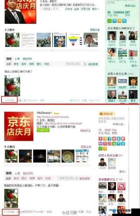 京东热app无码人妻专区：最新高清资源免费下载，畅享极致视觉体验