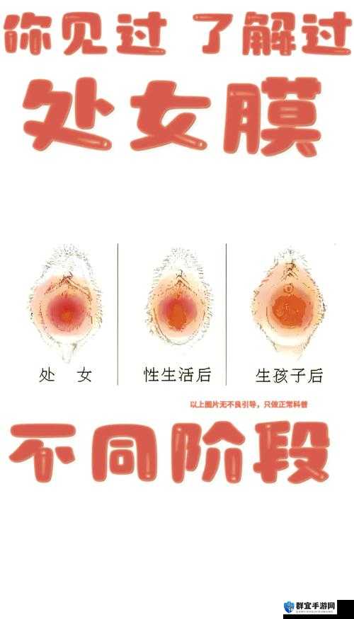 处破女 18 分钟 69 次，是真实的吗？