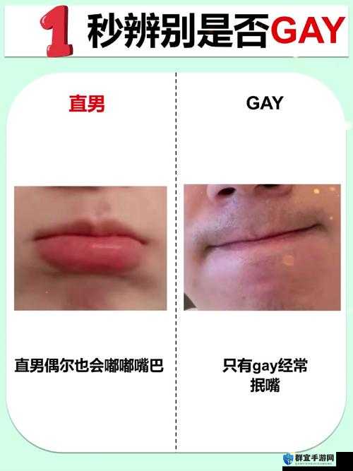 如何看待ⅤGay 欧洲 VGay 同性 Gay 这一现象？