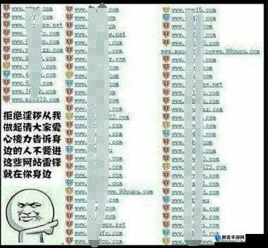 成年人网站的魅力与风险，你了解多少？
