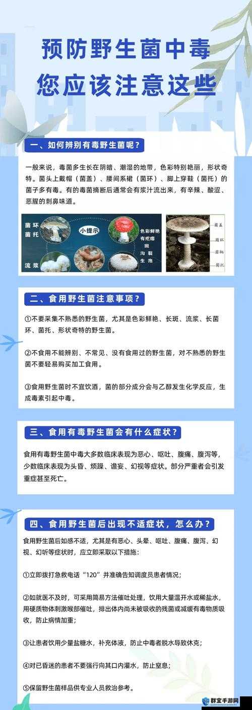 蘑菇破解版免费观看是否安全？会不会有病蝳？