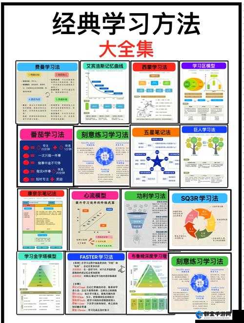探索大地中文资源12的丰富内容:如何有效利用这些资源提升学习与工作效率?