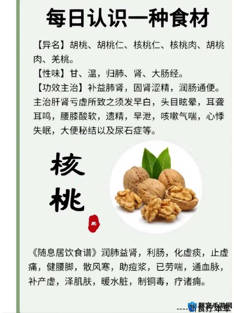 胡桃功效与作用全面解析：如何通过胡桃提升健康与养生效果？