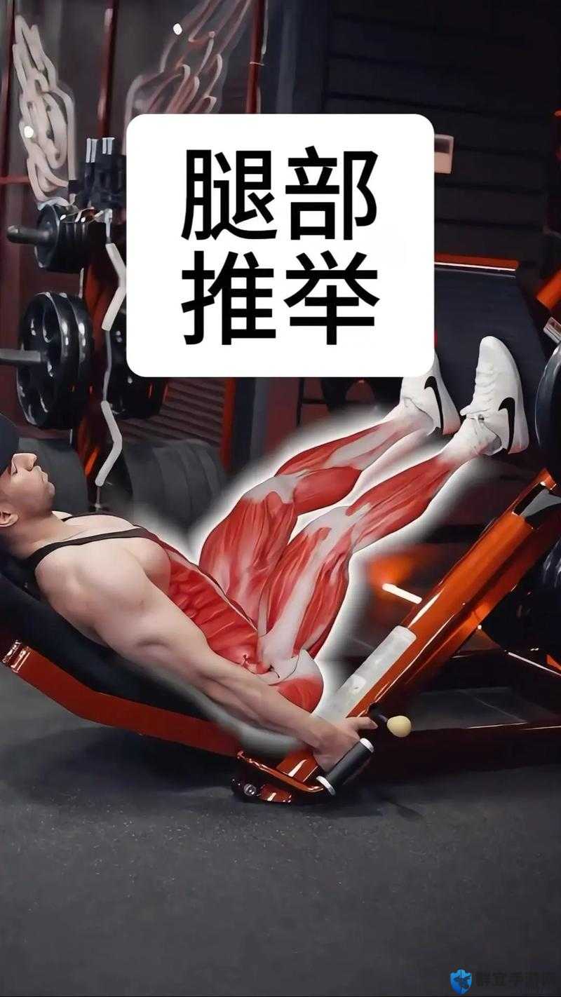 两个男生坚持做下肢运动要多久才能看到明显效果？专家解析与训练建议