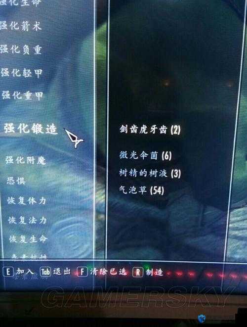 上古卷轴5配置相关问题探讨，资源管理、高效利用与避免浪费