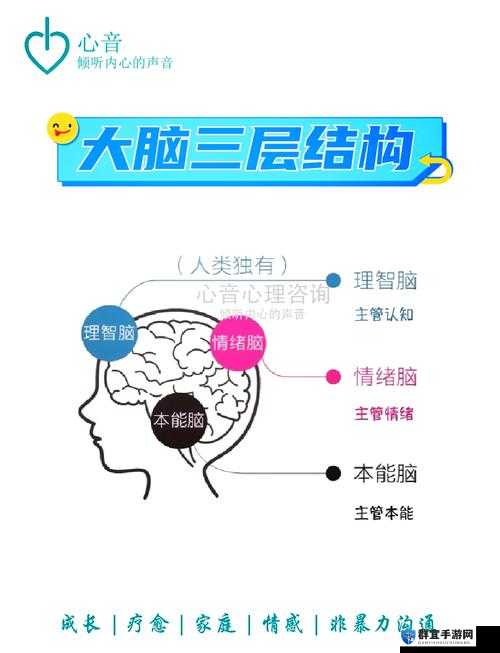 小小大脑配置要求高吗？全面攻略解析