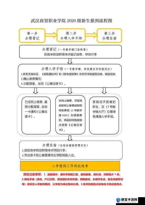 生存指南视频流程攻略，从新手到精通的全面解析