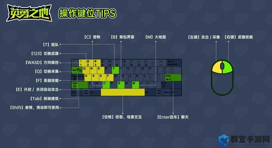 打造世界窗口化方法，从新手到精通的全面攻略
