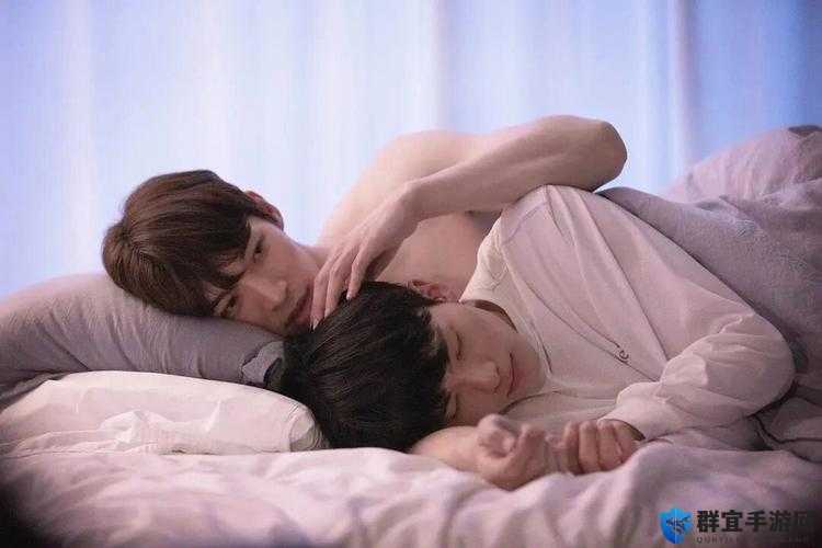 国产帅男男Gay在线观看：热门剧情解析与角色魅力大揭秘，不容错过的精彩瞬间