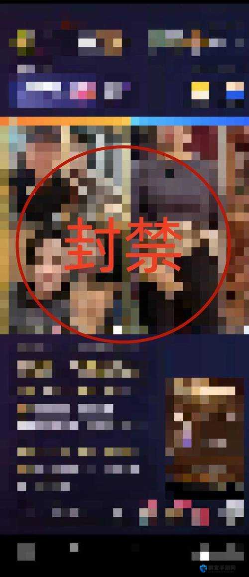 为什么这些视频会被禁？它们涉及了哪些内容？被禁的视频是否存在侵权行为？