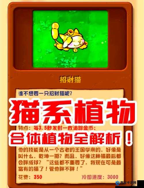猫射手第一关图文攻略的演变史专题