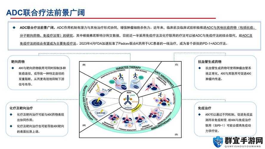 0adc 年龄多少才能点击进入公司？探讨 0adc 年龄与进公司的关系