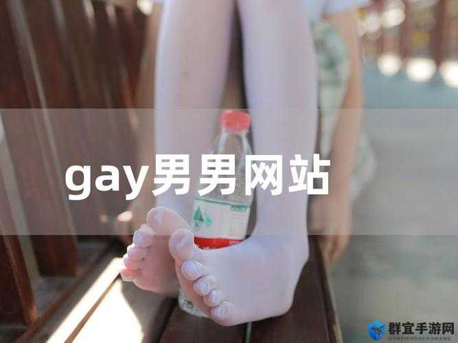 探索日本Gay免费网站：全面指南与最新资源推荐，助你轻松找到理想社区与交友平台