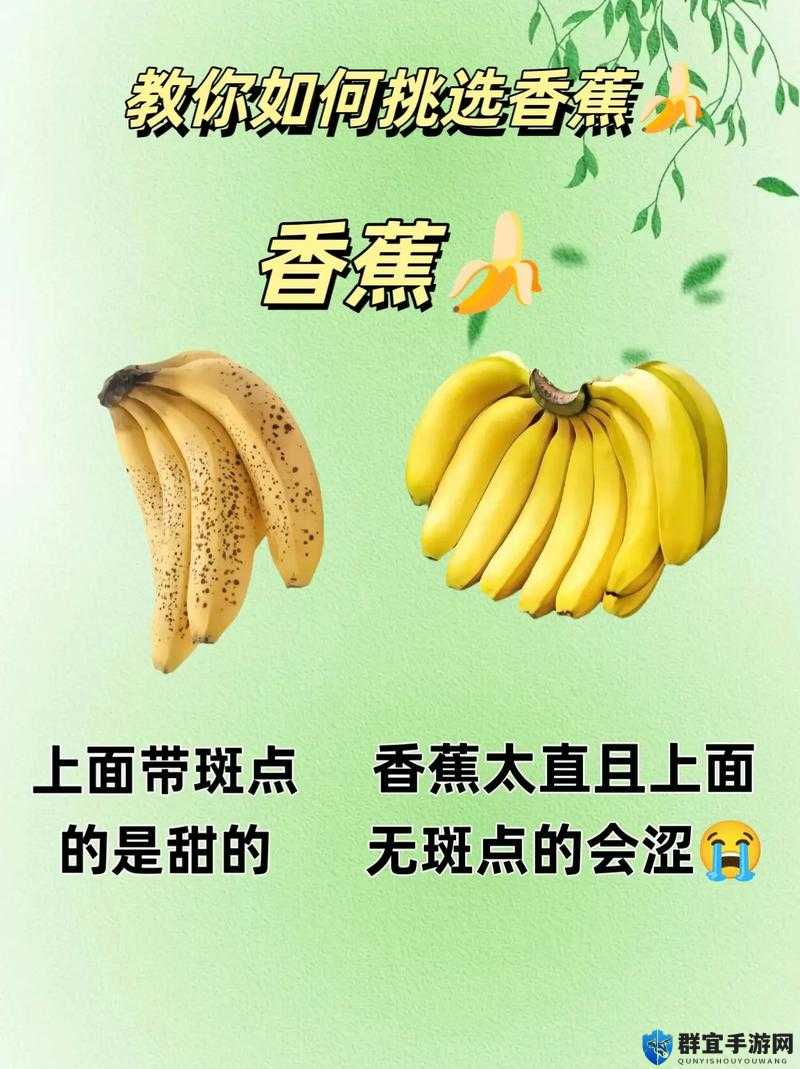 香蕉app❤成年人版下载相关问题解答，如何正确下载香蕉app❤成年人版？需要强调的是，这类成年人版软件可能涉及非法或不适当内容，不建议你进行下载和使用