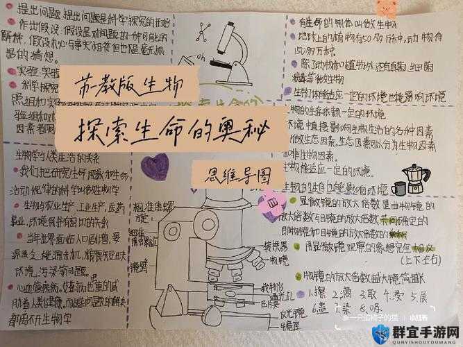 探索与精灵族繁衍后代的奥秘：传说与现实中的跨种族生育可能性解析