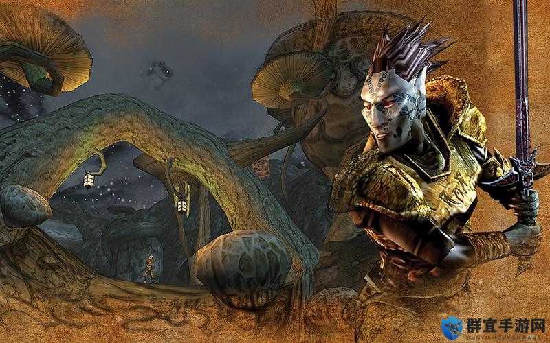 上古卷轴3攻略，资源管理的艺术