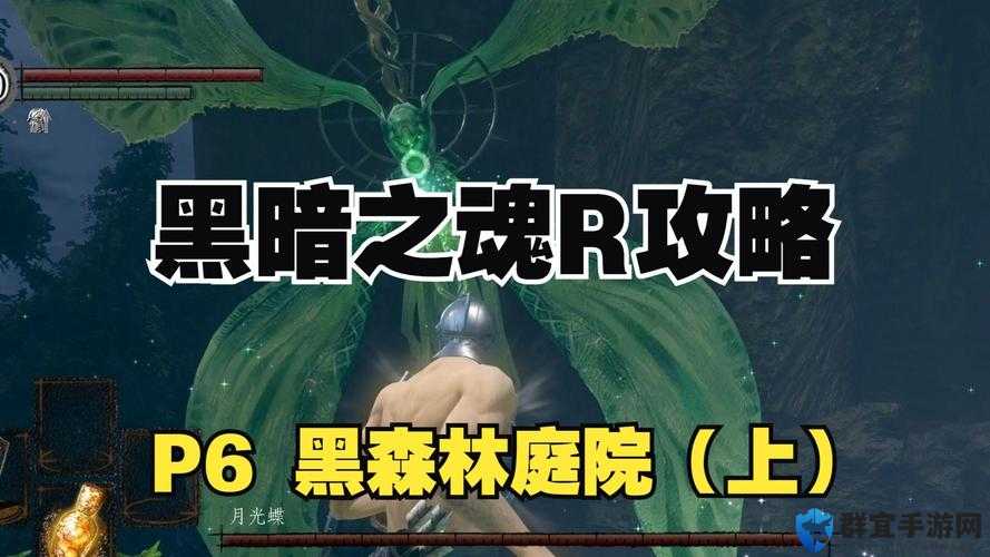 黑暗之魂黑森林庭院刷魂攻略