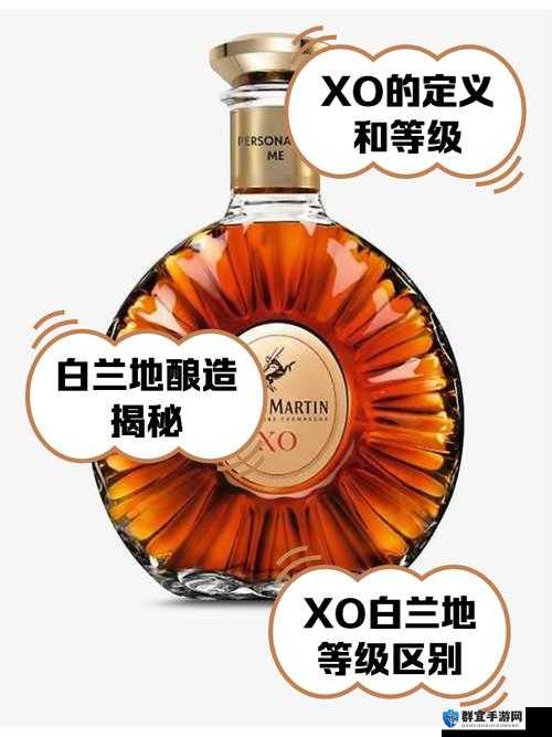 美国两性XO到底是怎样的一种现象?其背后的原因与影响何在?或者:探秘美国两性XO,它有着怎样的特点、表现及对社会的作用?