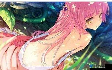 皇冠之泪2，霸王的末裔一周目二章戗女通关攻略