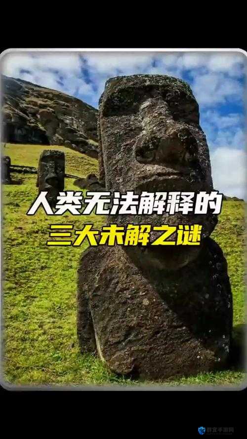 女人与公狍交酡女免费故事：探索自然与人类的神秘互动，揭示未解之谜