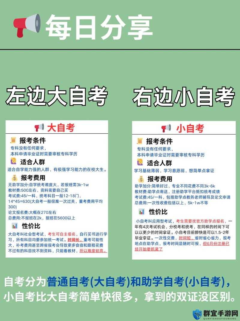 一级大还是二级大？全面解析两者区别与应用场景，助你快速做出明智选择