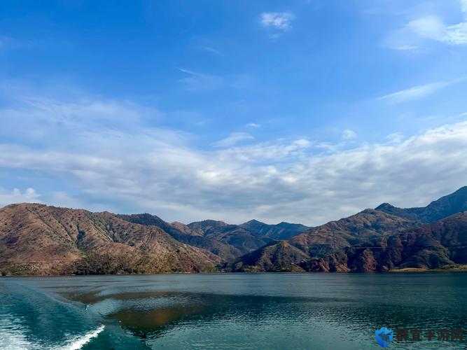 大地资源网在线观看免费高清：探索丰富资源，畅享视觉盛宴