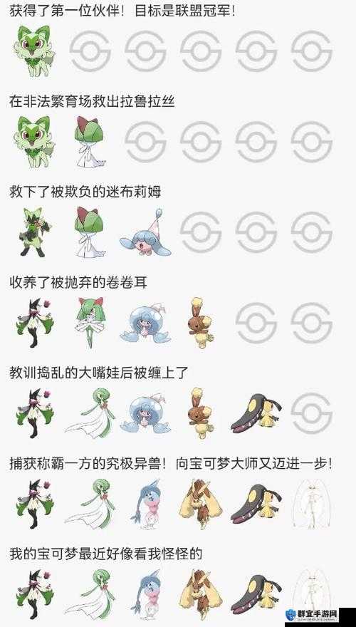 口袋妖怪XY后花园PM组合表演变史专题