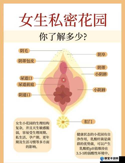 探索free·嫩白12sex性摘花的奥秘：如何实现肌肤嫩白与健康的双重提升？