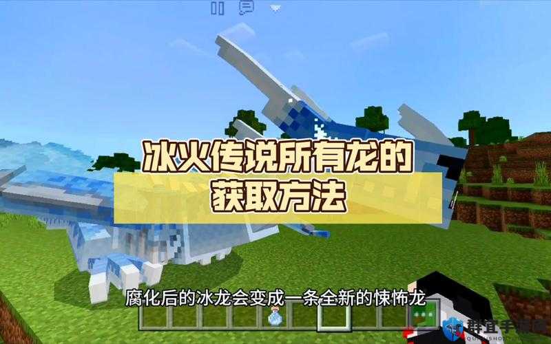 我的世界，揭秘获取龙蛋的奇妙之旅