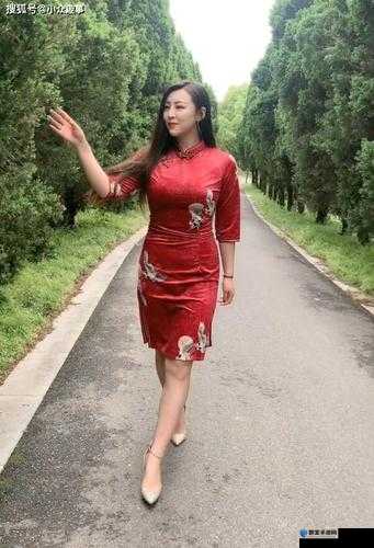 探索chinese熟女老女人图片的魅力：展现成熟与优雅的东方女性风采