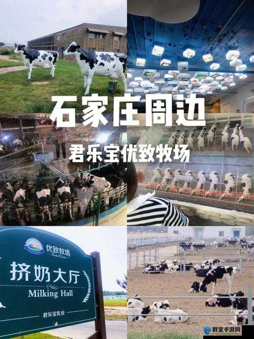 奶牛福建导航湖南教育官网最新版本更新了哪些内容?快来一探究竟