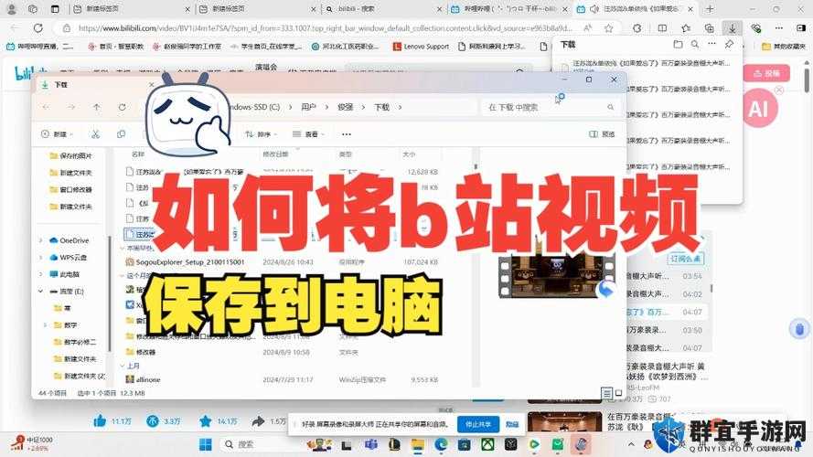 哔哩哔哩高清在线观看免费网站入口在哪里？快来一探究竟