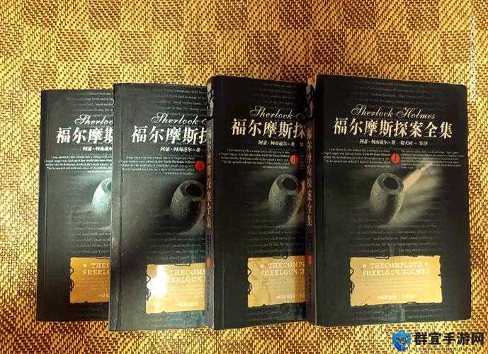 探索99精品欧美一区二区三区小说的魅力：经典与创新的完美融合